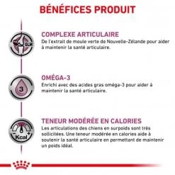ROYAL CANIN Dog Mobility Support 13 ROYAL CANIN Dog Mobility Support -Animaux Fournitures Magasin dog mobility support 3