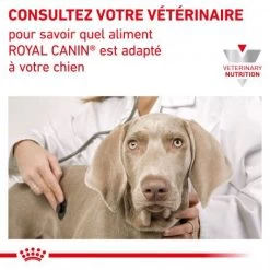 ROYAL CANIN Dog Mobility Support 16 ROYAL CANIN Dog Mobility Support -Animaux Fournitures Magasin dog mobility support 6