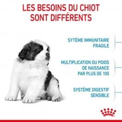 ROYAL CANIN Dog Puppy Giant 13 ROYAL CANIN Dog Puppy Giant -Animaux Fournitures Magasin dog puppy giant 3