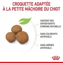 ROYAL CANIN Dog Puppy Maxi -Animaux Fournitures Magasin dog puppy maxi 2