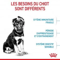 ROYAL CANIN Dog Puppy Maxi -Animaux Fournitures Magasin dog puppy maxi 3