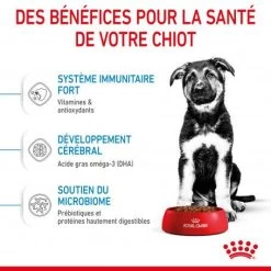 ROYAL CANIN Dog Puppy Maxi -Animaux Fournitures Magasin dog puppy maxi 4