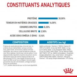 ROYAL CANIN Dog Puppy Maxi -Animaux Fournitures Magasin dog puppy maxi 7
