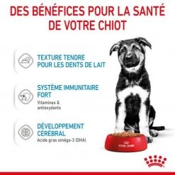 ROYAL CANIN Dog Puppy Maxi Sachet Repas -Animaux Fournitures Magasin dog puppy maxi sachet repas 4