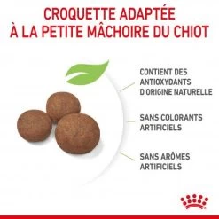 ROYAL CANIN Dog Puppy Medium -Animaux Fournitures Magasin dog puppy medium 2