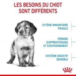 ROYAL CANIN Dog Puppy Medium -Animaux Fournitures Magasin dog puppy medium 3