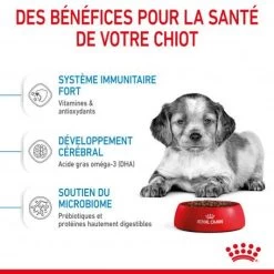 ROYAL CANIN Dog Puppy Medium -Animaux Fournitures Magasin dog puppy medium 4
