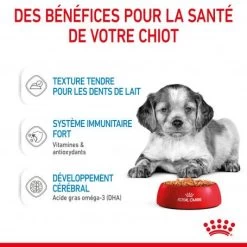 ROYAL CANIN Dog Puppy Medium Sachet Repas -Animaux Fournitures Magasin dog puppy medium sachet repas 4