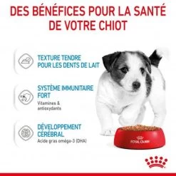 ROYAL CANIN Dog Puppy Mini Sachet Repas 15 ROYAL CANIN Dog Puppy Mini Sachet Repas -Animaux Fournitures Magasin dog puppy mini sachet repas 4