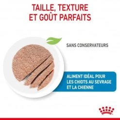 ROYAL CANIN Dog Starter Mother & Babydog Mousse Boîte 10 ROYAL CANIN Dog Starter Mother & Babydog Mousse Boîte -Animaux Fournitures Magasin dog starter mother babycat mousse boite 2