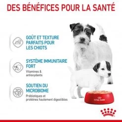 ROYAL CANIN Dog Starter Mother & Babydog Mousse Boîte 11 ROYAL CANIN Dog Starter Mother & Babydog Mousse Boîte -Animaux Fournitures Magasin dog starter mother babycat mousse boite 3