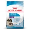 ROYAL CANIN Dog Starter Mother & Babydog Giant -Animaux Fournitures Magasin dog starter mother babydog giant