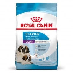 ROYAL CANIN Dog Starter Mother & Babydog Giant