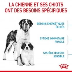 ROYAL CANIN Dog Starter Mother & Babydog Giant 13 ROYAL CANIN Dog Starter Mother & Babydog Giant -Animaux Fournitures Magasin dog starter mother babydog giant 3