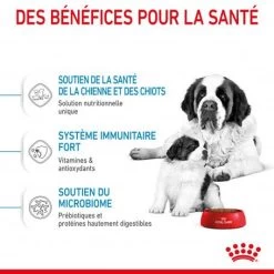 ROYAL CANIN Dog Starter Mother & Babydog Giant 14 ROYAL CANIN Dog Starter Mother & Babydog Giant -Animaux Fournitures Magasin dog starter mother babydog giant 4