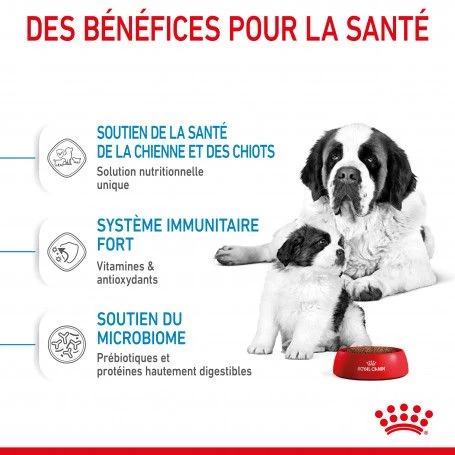 ROYAL CANIN Dog Starter Mother & Babydog Giant 7 ROYAL CANIN Dog Starter Mother & Babydog Giant – Image 5