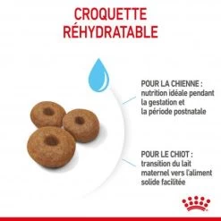 ROYAL CANIN Dog Starter Mother & Babydog Maxi 12 ROYAL CANIN Dog Starter Mother & Babydog Maxi -Animaux Fournitures Magasin dog starter mother babydog maxi 2