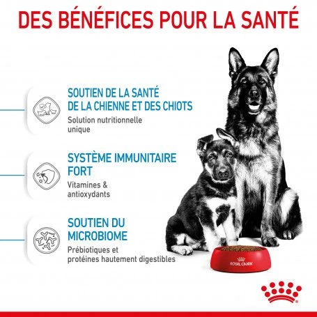 ROYAL CANIN Dog Starter Mother & Babydog Maxi 7 ROYAL CANIN Dog Starter Mother & Babydog Maxi – Image 5