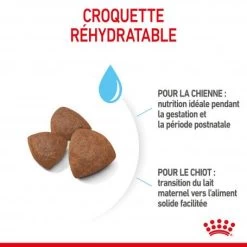 ROYAL CANIN Dog Starter Mother & Babydog Medium -Animaux Fournitures Magasin dog starter mother babydog medium 2
