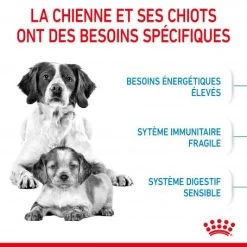ROYAL CANIN Dog Starter Mother & Babydog Medium -Animaux Fournitures Magasin dog starter mother babydog medium 3