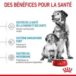 ROYAL CANIN Dog Starter Mother & Babydog Medium -Animaux Fournitures Magasin dog starter mother babydog medium 4