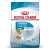 ROYAL CANIN Dog Starter Mother & Babydog Mini -Animaux Fournitures Magasin dog starter mother babydog mini