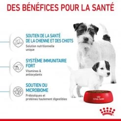 ROYAL CANIN Dog Starter Mother & Babydog Mini -Animaux Fournitures Magasin dog starter mother babydog mini 4