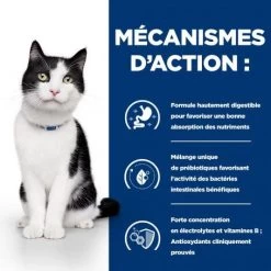 I/d Digestive Sachet Repas Pour Chat Et Chaton Saumon -Animaux Fournitures Magasin feline i d digestive care activ biome saumon sachet repas 4