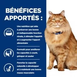 K/D J/D Kidney+Mobility Croquettes Pour Chat Au Poulet -Animaux Fournitures Magasin feline k d mobility poulet 3