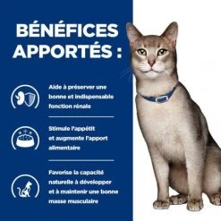 K/d Kidney Sachet Repas Pour Chat Boeuf -Animaux Fournitures Magasin feline k d sachet repas boeuf 2