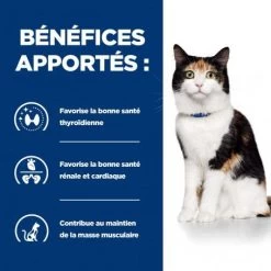 Y/d Thyroid Boîte Pour Chat -Animaux Fournitures Magasin feline y d boite 3