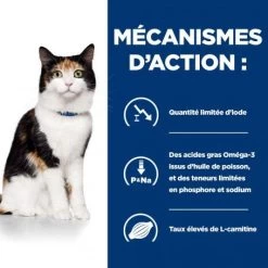 Y/d Thyroid Boîte Pour Chat -Animaux Fournitures Magasin feline y d boite 4