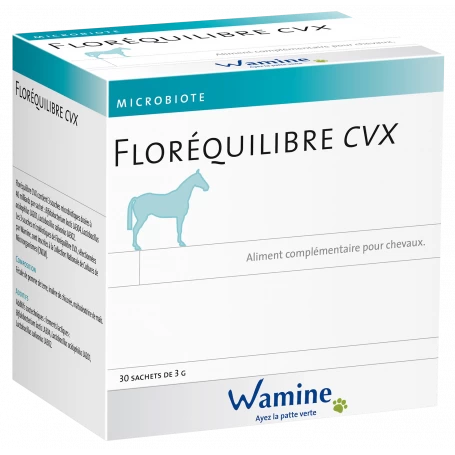 Floréquilibre Chevaux 2 Floréquilibre Chevaux