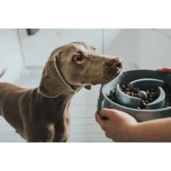 Materiel Gamelle Anti-glouton Hunter Atlanta 8 Materiel Gamelle Anti-glouton Hunter Atlanta -Animaux Fournitures Magasin gamelle anti glouton hunter atlanta 2