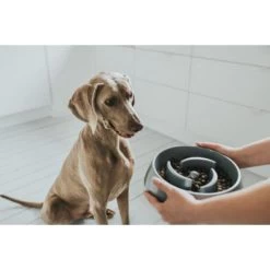 Materiel Gamelle Anti-glouton Hunter Atlanta 9 Materiel Gamelle Anti-glouton Hunter Atlanta -Animaux Fournitures Magasin gamelle anti glouton hunter atlanta 3