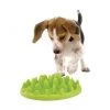 Materiel Gamelle Green Slow Dog Pour Chien -Animaux Fournitures Magasin gamelle catch interactive northmate pour chien