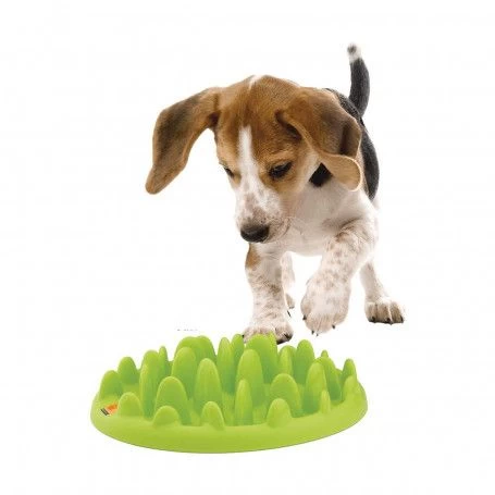 Materiel Gamelle Green Slow Dog Pour Chien 3 Materiel Gamelle Green Slow Dog Pour Chien