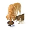 Materiel Gamelle Intelligente Pet Bowl -Animaux Fournitures Magasin gamelle intelligente pet bowl