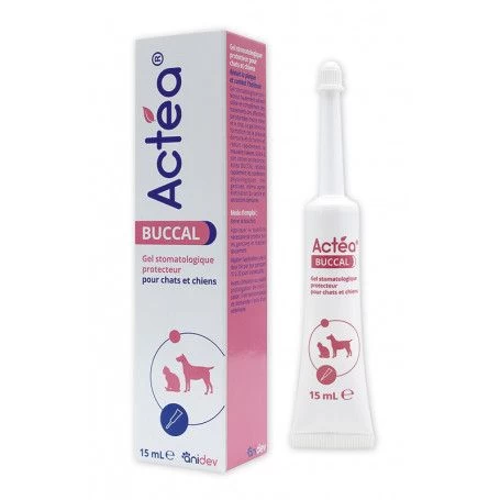 Actea Buccal 3 Actea Buccal