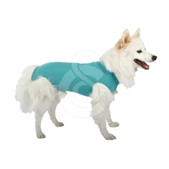 Materiel Gilet DogBody VetMedCare Pour Chien