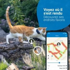 Materiel GPS Tractive Cat 4 Pour Chat -Animaux Fournitures Magasin gps tractive cat 4 pour chat 2