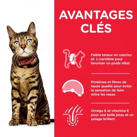 Feline Adult Light Poulet 4 Feline Adult Light Poulet – Image 2