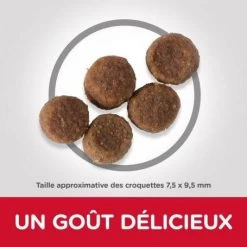 Puppy Medium Poulet Healthy Development -Animaux Fournitures Magasin hills puppy medium poulet healthy development 2