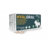 Hyaloral Chiot, Petites Et Moyennes Races 2 Hyaloral Chiot, Petites Et Moyennes Races -Animaux Fournitures Magasin hyaloral chiot petites et moyennes races
