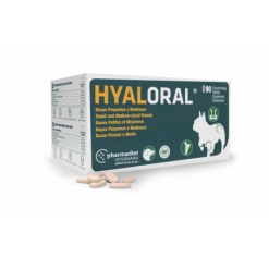 Hyaloral Chiot, Petites Et Moyennes Races