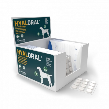 Hyaloral Grandes Et Très Grandes Races 4 Hyaloral Grandes Et Très Grandes Races – Image 2