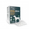 Hyaloral Grandes Et Très Grandes Races -Animaux Fournitures Magasin hyaloral grande et tres grandes races