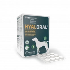 Hyaloral Grandes Et Très Grandes Races