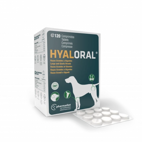 Hyaloral Grandes Et Très Grandes Races 3 Hyaloral Grandes Et Très Grandes Races