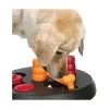 Materiel Jouet Chien éducatif : Flip Board 1 Materiel Jouet Chien éducatif : Flip Board -Animaux Fournitures Magasin jouet chien educatif flip board